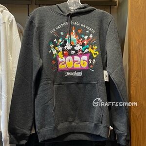 2026 Disneyland The Happiest Place On Earth Pullover Hoodie NWT